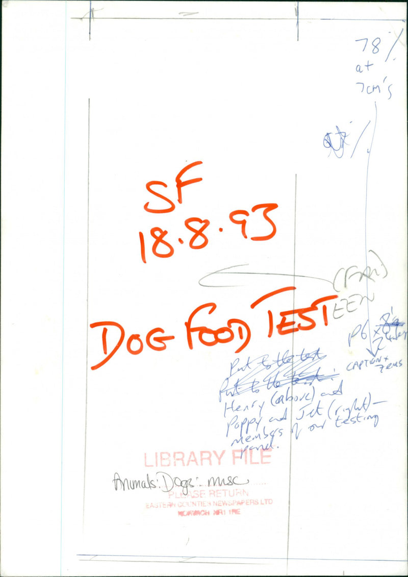 Dog. - Vintage Photograph