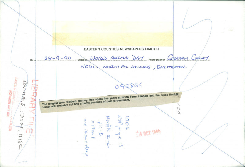 Dog. - Vintage Photograph