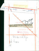 Dog. - Vintage Photograph