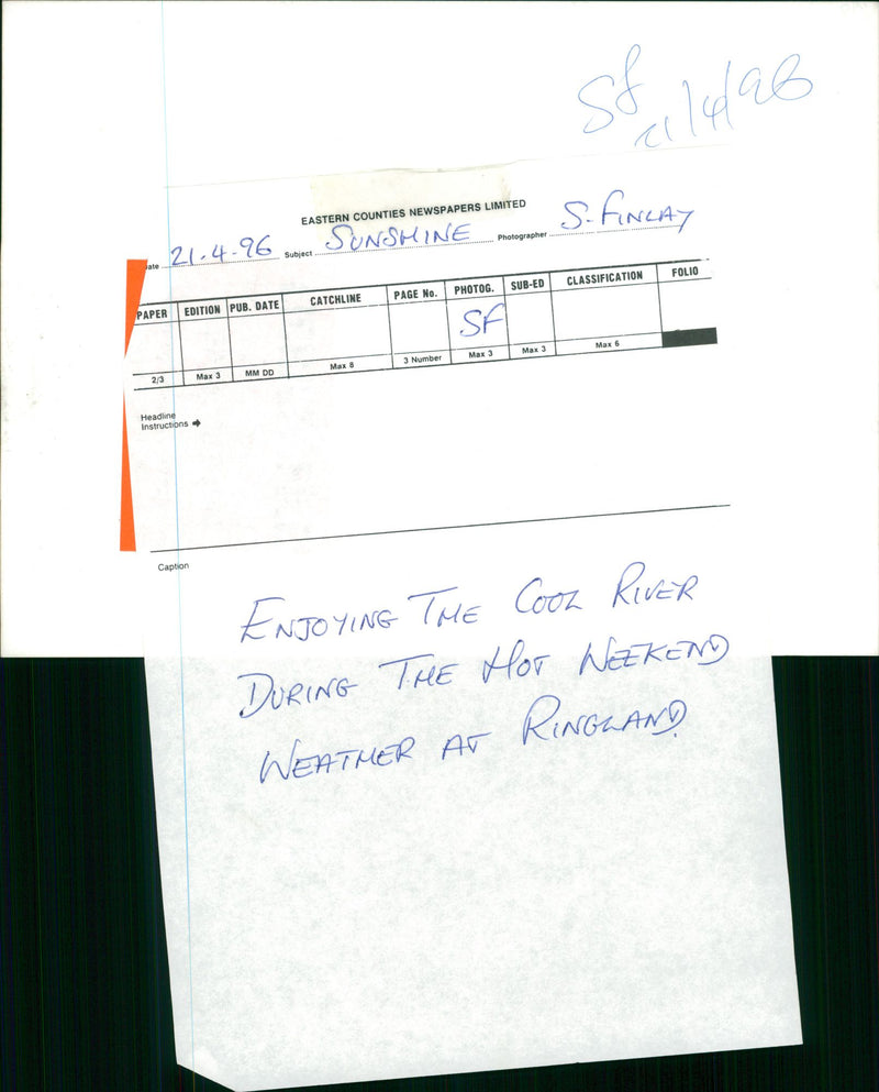 Dog in river. - Vintage Photograph