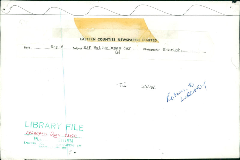 Dog. - Vintage Photograph