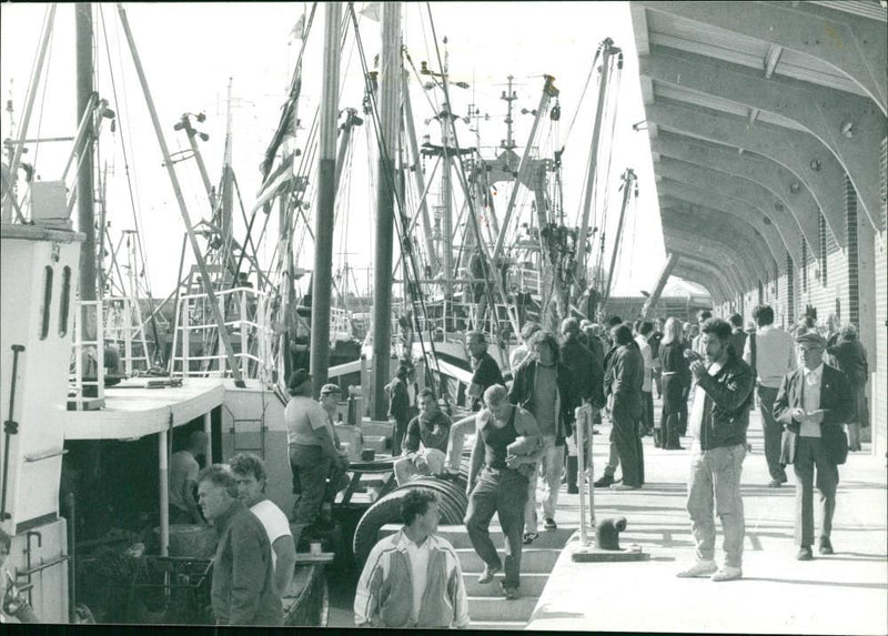 Lowestoft Fishing Industry - Vintage Photograph