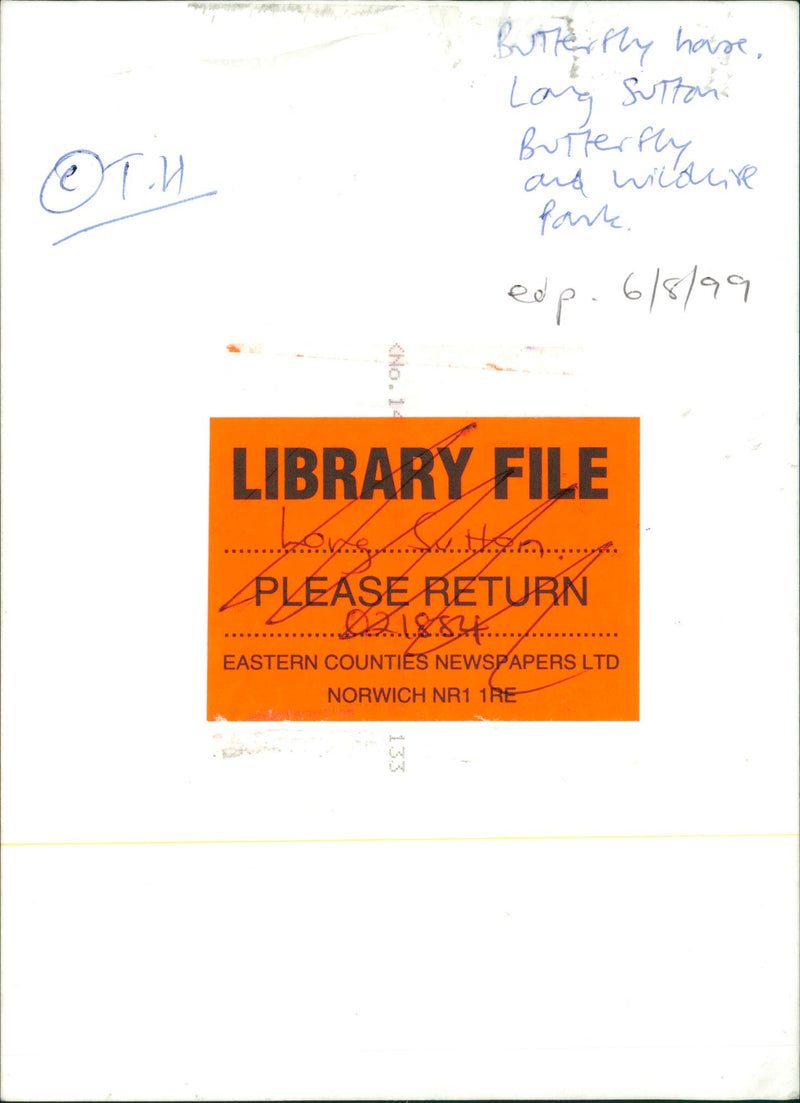 Long Sutton - Vintage Photograph