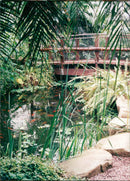 Long Sutton - Vintage Photograph