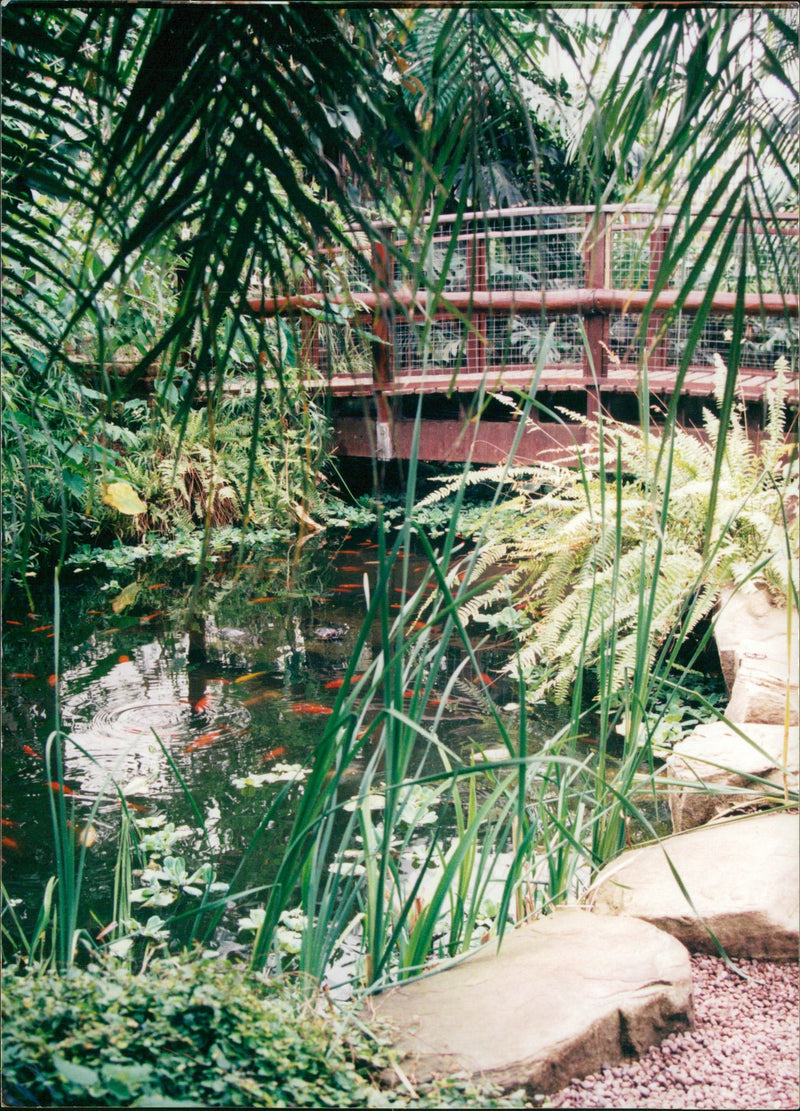 Long Sutton - Vintage Photograph