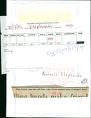 Elephant 'Rosa' at Gandey's Circus - Vintage Photograph