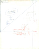 Fox - Vintage Photograph