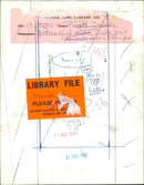 Ferret - Vintage Photograph