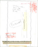 Ferret - Vintage Photograph