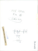 Arctic fox kittens - Vintage Photograph