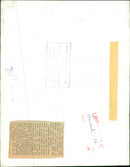 Hedgehog Animal. - Vintage Photograph