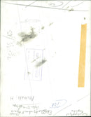 Hedgehog Animal. - Vintage Photograph