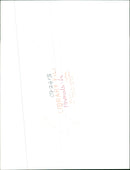 Hedgehog Animal. - Vintage Photograph