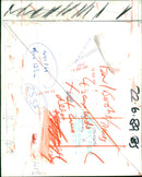 Hedgehog Animal. - Vintage Photograph