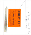 Hedgehog Animal. - Vintage Photograph