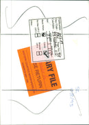 Hedgehog Animal. - Vintage Photograph