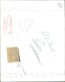 Hedgehog Animal. - Vintage Photograph