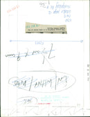 Hedgehog Animal. - Vintage Photograph