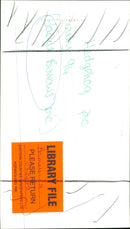 Hedgehog Animal. - Vintage Photograph