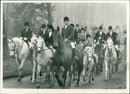 Animals - Vintage Photograph