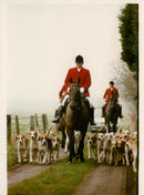 Animals - Vintage Photograph