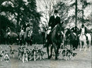 Animals - Vintage Photograph