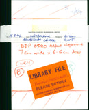 Animals - Vintage Photograph