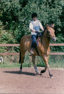 Animals - Vintage Photograph