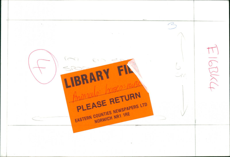 Animals - Vintage Photograph