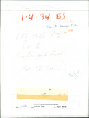 Animals - Vintage Photograph