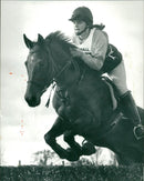 Animals - Vintage Photograph