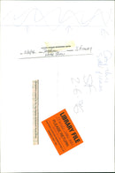 Animals - Vintage Photograph