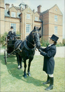 Animals - Vintage Photograph