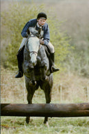 Animals - Vintage Photograph