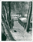 Lowestoft: Parks: Gardens, tiny water park at Kirkley Fen - Vintage Photograph