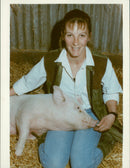 Animals: Pigs - Vintage Photograph