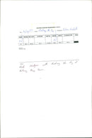 Animals: Pigs - Vintage Photograph