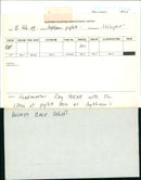 Animals: Pigs - Vintage Photograph