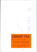 Animals: Pigs - Vintage Photograph