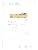 Animals: Pigs - Vintage Photograph