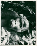 ANIMALS : G - Vintage Photograph