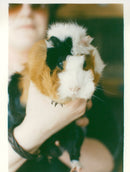 ANIMALS : G - Vintage Photograph