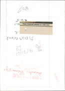 ANIMALS : G - Vintage Photograph