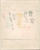 ANIMALS : G - Vintage Photograph