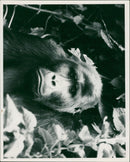 ANIMALS : G - Vintage Photograph