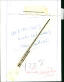 ANIMALS : G - Vintage Photograph