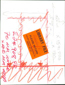 ANIMALS : G - Vintage Photograph