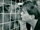 Nick le grys kiss joey the monkey. - Vintage Photograph
