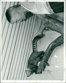 ANIMALS - Vintage Photograph