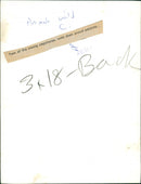 ANIMALS WILD C - Vintage Photograph